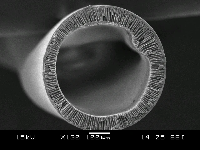 Scanning electron micrograph of a hollow fiber cross-section at 130 times magnification
